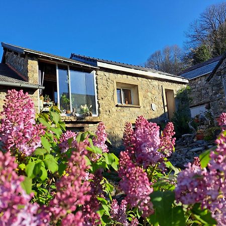 Bed and Breakfast La Bouletiere Dourbies Экстерьер фото