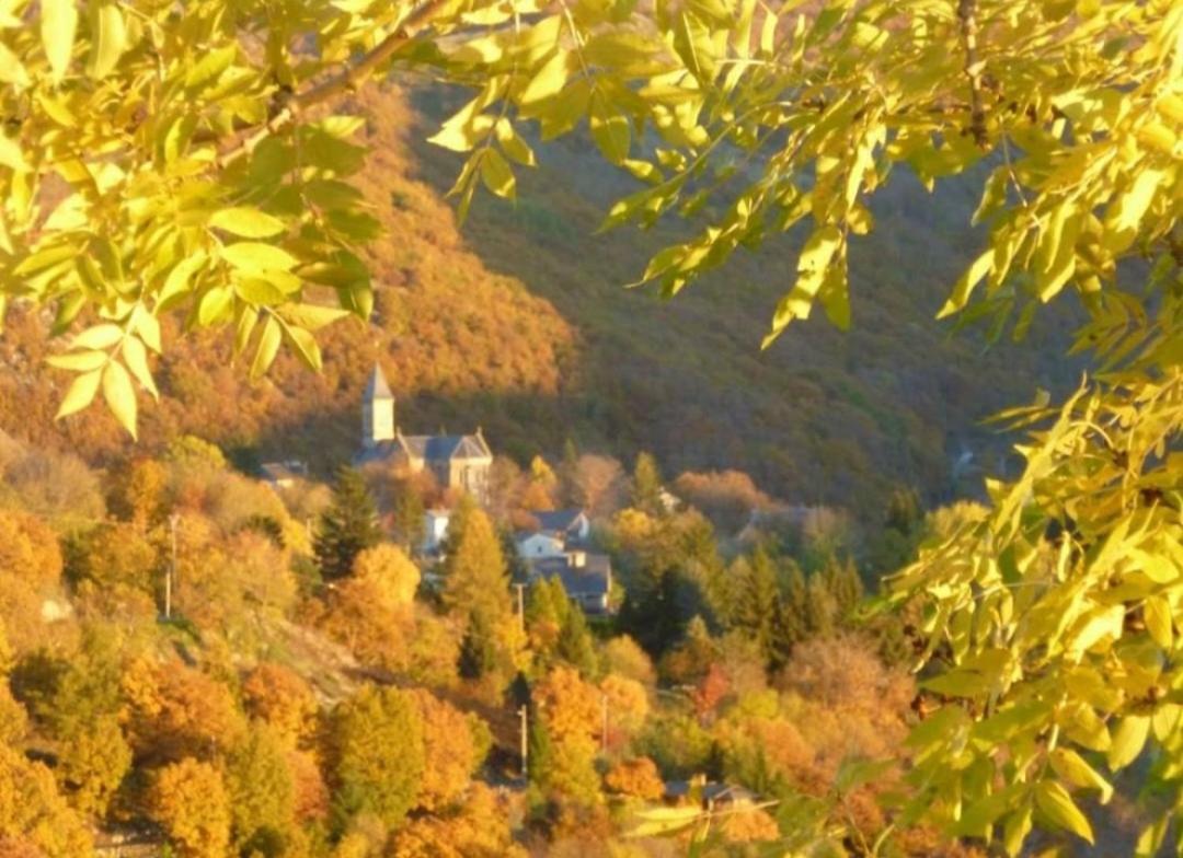 Bed and Breakfast La Bouletiere Dourbies Экстерьер фото