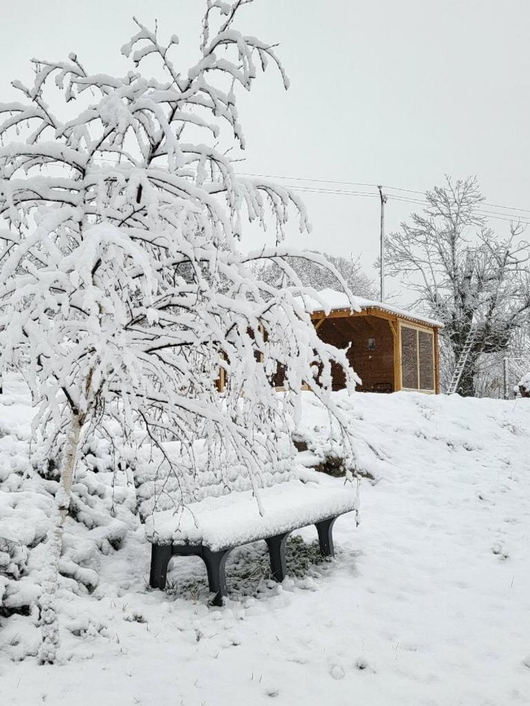 Bed and Breakfast La Bouletiere Dourbies Экстерьер фото